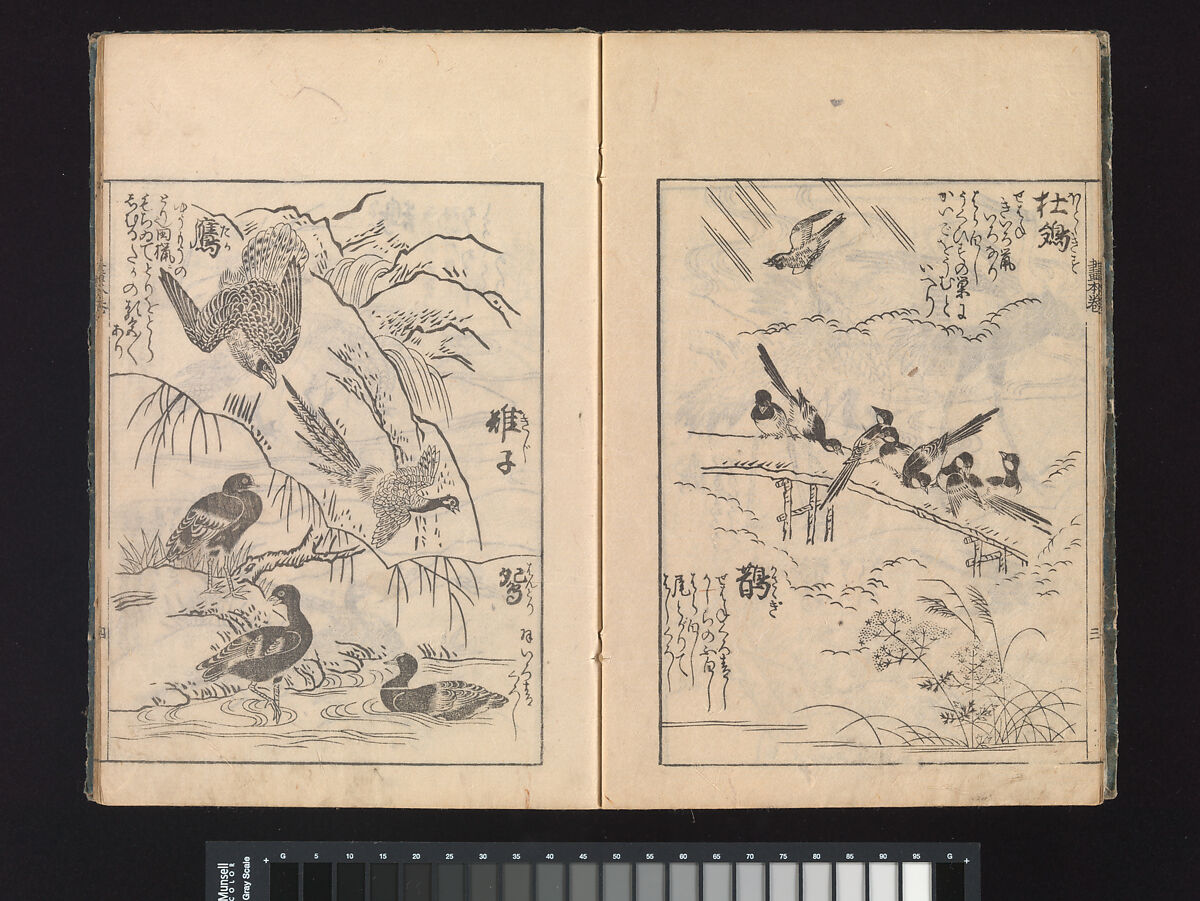 A Beginner’s Pictorial Encyclopedia of Natural History, Tachibana Morikuni (Japanese, 1679–1748), Three volumes of woodblock printed books (Japanese-style binding); ink on paper , Japan
