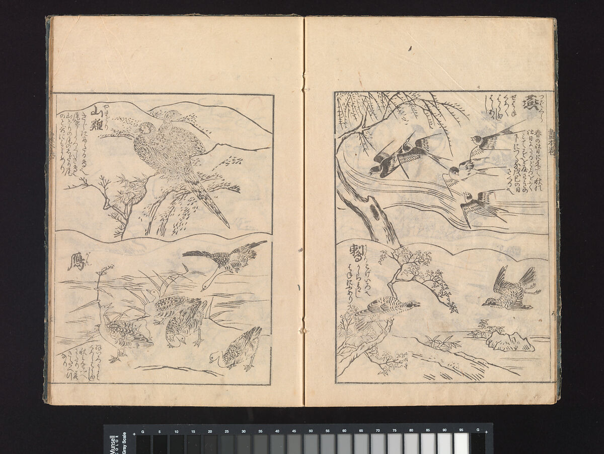 A Beginner’s Pictorial Encyclopedia of Natural History, Tachibana Morikuni (Japanese, 1679–1748), Three volumes of woodblock printed books (Japanese-style binding); ink on paper , Japan