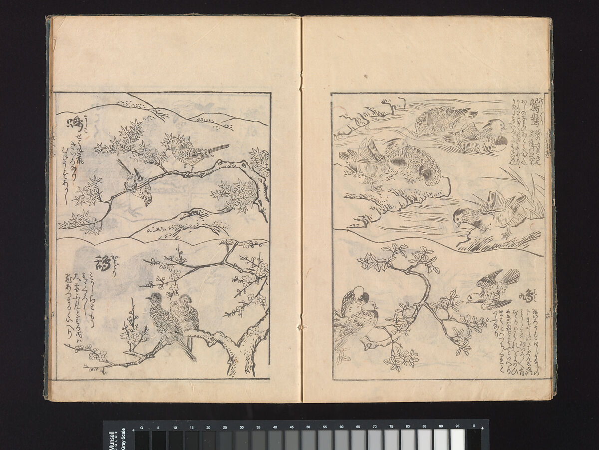 A Beginner’s Pictorial Encyclopedia of Natural History, Tachibana Morikuni (Japanese, 1679–1748), Three volumes of woodblock printed books (Japanese-style binding); ink on paper , Japan