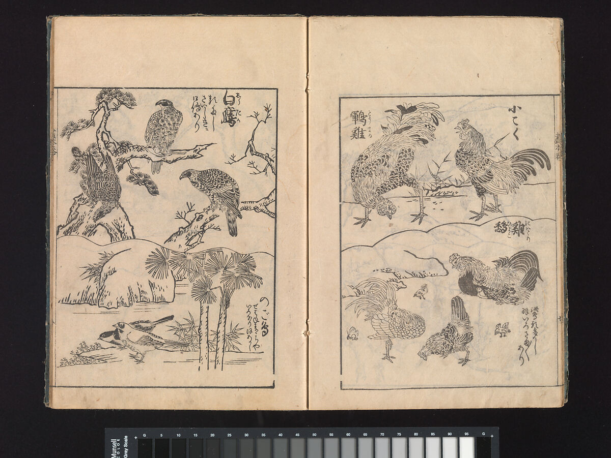 A Beginner’s Pictorial Encyclopedia of Natural History, Tachibana Morikuni (Japanese, 1679–1748), Three volumes of woodblock printed books (Japanese-style binding); ink on paper , Japan