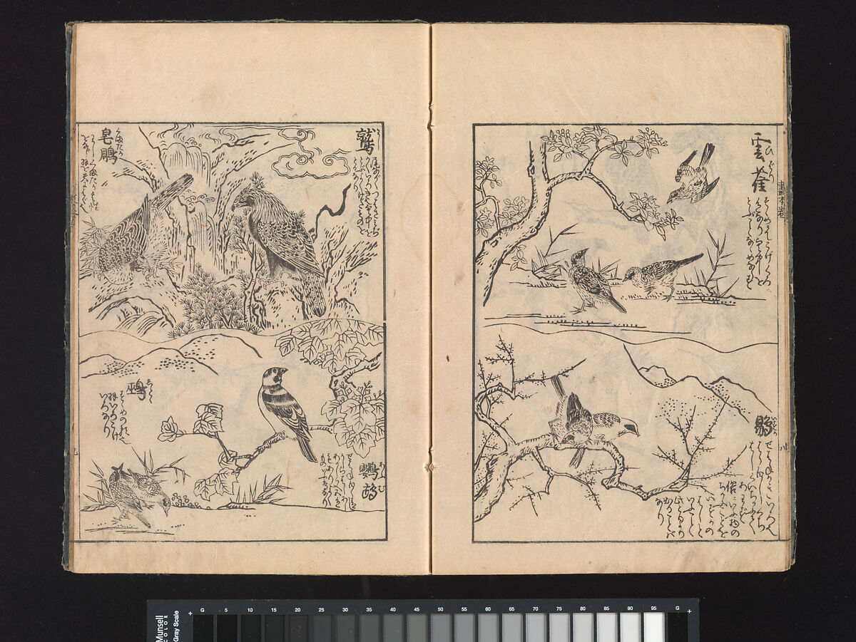 A Beginner’s Pictorial Encyclopedia of Natural History, Tachibana Morikuni (Japanese, 1679–1748), Three volumes of woodblock printed books (Japanese-style binding); ink on paper , Japan