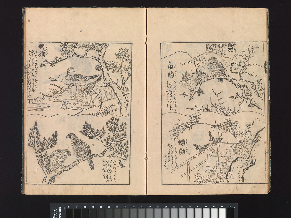 A Beginner’s Pictorial Encyclopedia of Natural History, Tachibana Morikuni (Japanese, 1679–1748), Three volumes of woodblock printed books (Japanese-style binding); ink on paper , Japan