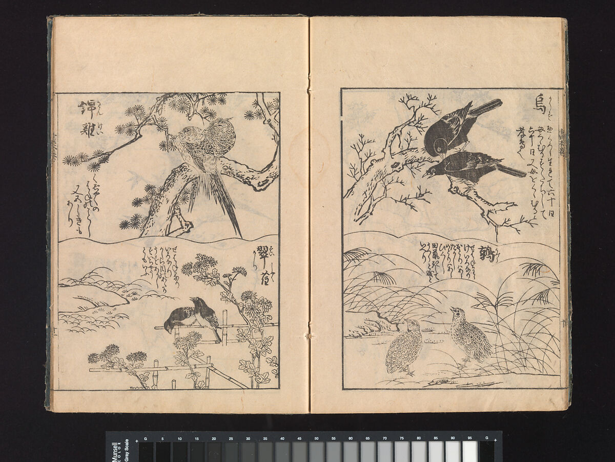 A Beginner’s Pictorial Encyclopedia of Natural History, Tachibana Morikuni (Japanese, 1679–1748), Three volumes of woodblock printed books (Japanese-style binding); ink on paper , Japan