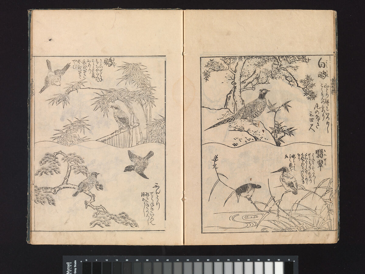 A Beginner’s Pictorial Encyclopedia of Natural History, Tachibana Morikuni (Japanese, 1679–1748), Three volumes of woodblock printed books (Japanese-style binding); ink on paper , Japan