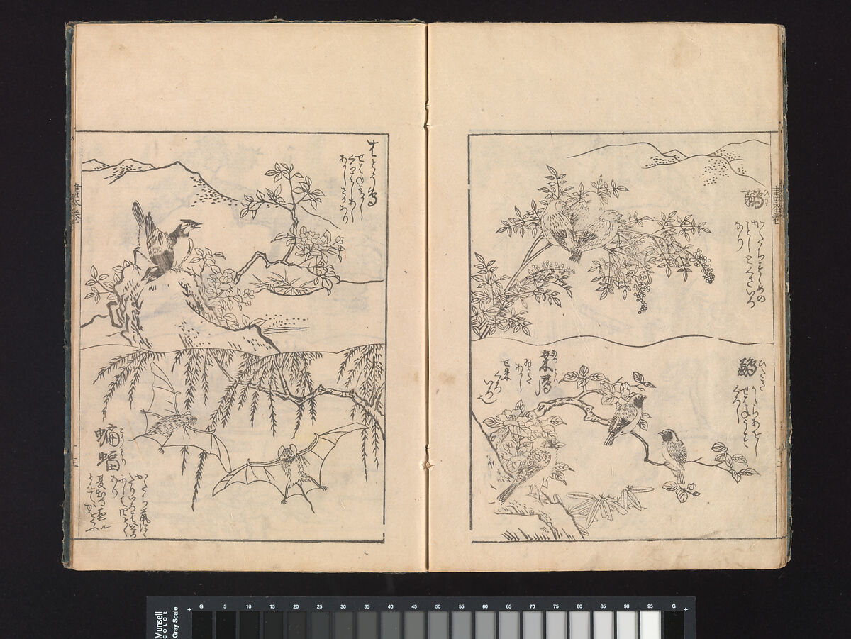 A Beginner’s Pictorial Encyclopedia of Natural History, Tachibana Morikuni (Japanese, 1679–1748), Three volumes of woodblock printed books (Japanese-style binding); ink on paper , Japan