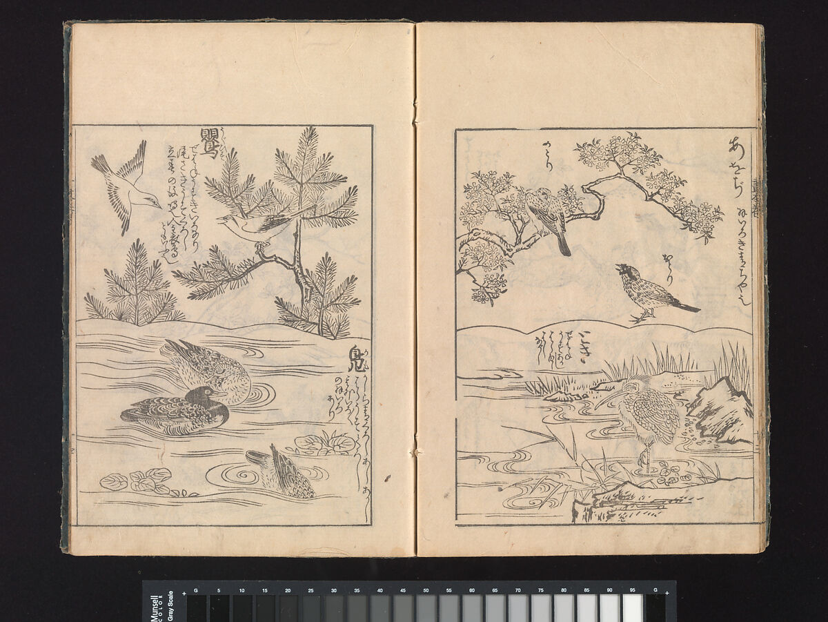 A Beginner’s Pictorial Encyclopedia of Natural History, Tachibana Morikuni (Japanese, 1679–1748), Three volumes of woodblock printed books (Japanese-style binding); ink on paper , Japan
