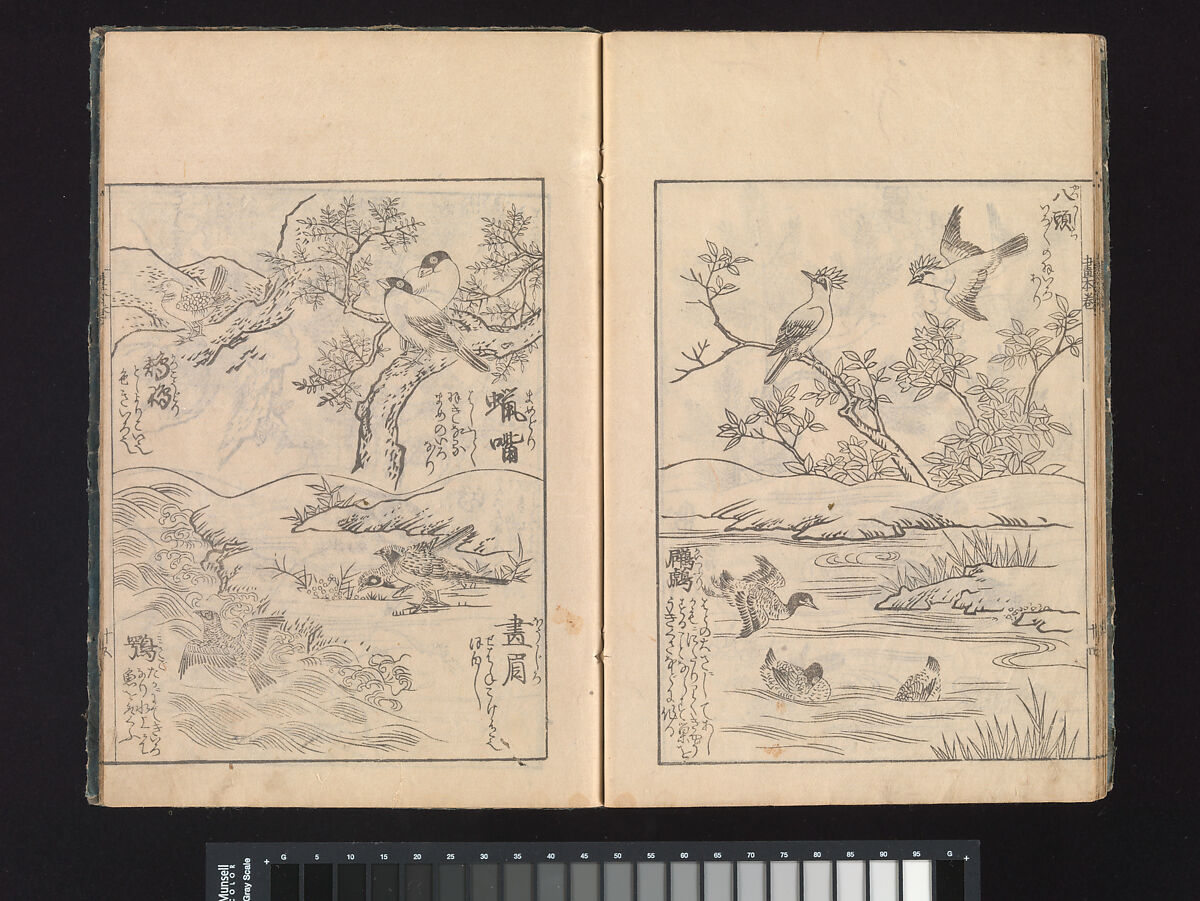 A Beginner’s Pictorial Encyclopedia of Natural History, Tachibana Morikuni (Japanese, 1679–1748), Three volumes of woodblock printed books (Japanese-style binding); ink on paper , Japan