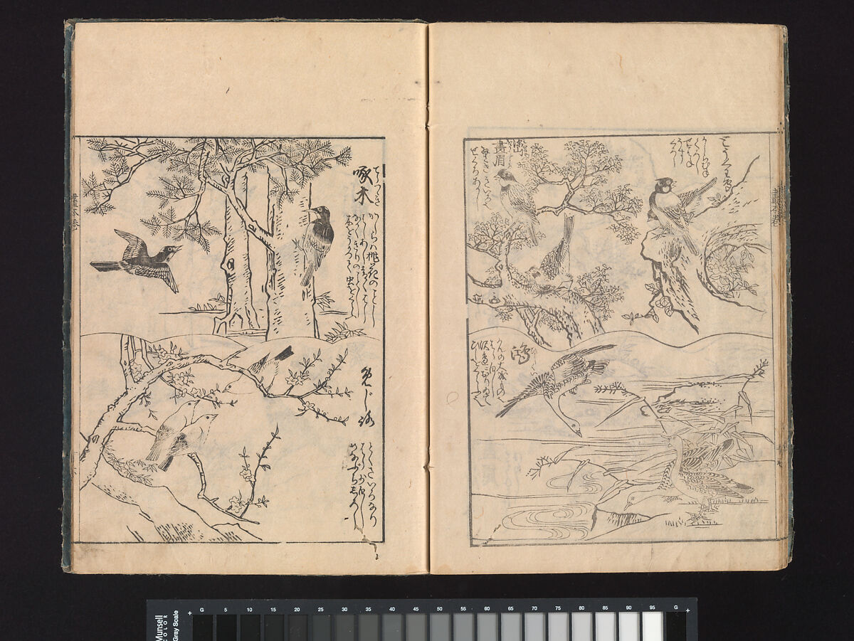 A Beginner’s Pictorial Encyclopedia of Natural History, Tachibana Morikuni (Japanese, 1679–1748), Three volumes of woodblock printed books (Japanese-style binding); ink on paper , Japan