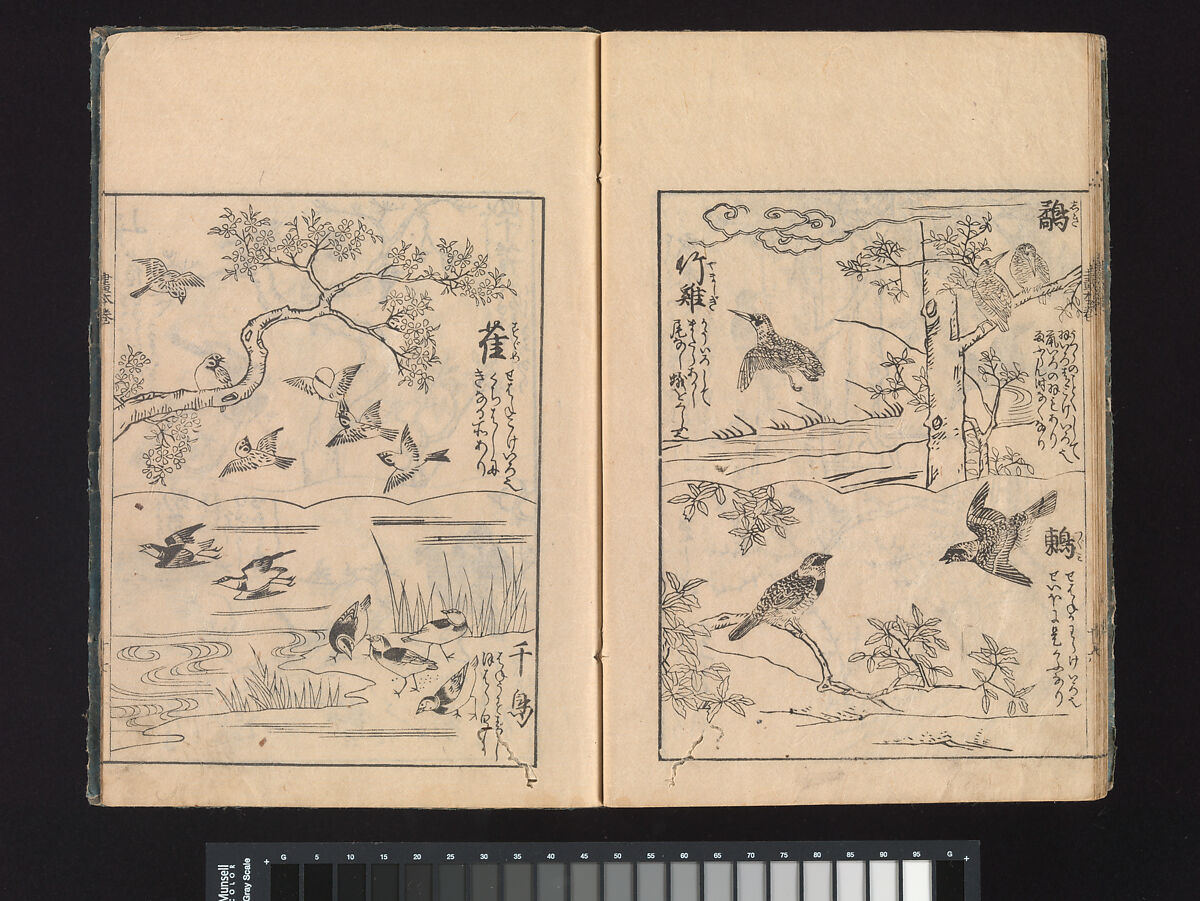A Beginner’s Pictorial Encyclopedia of Natural History, Tachibana Morikuni (Japanese, 1679–1748), Three volumes of woodblock printed books (Japanese-style binding); ink on paper , Japan