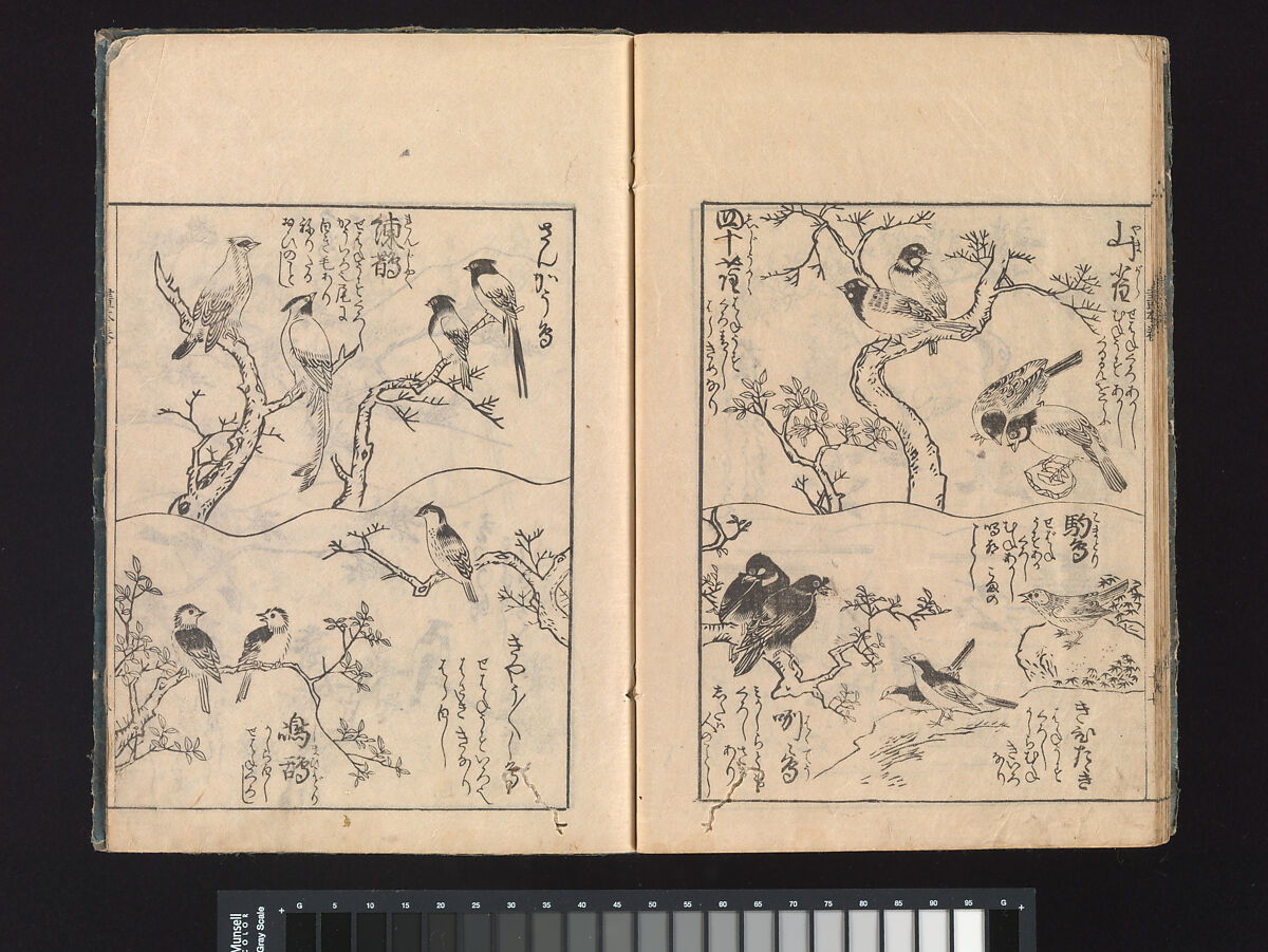 A Beginner’s Pictorial Encyclopedia of Natural History, Tachibana Morikuni (Japanese, 1679–1748), Three volumes of woodblock printed books (Japanese-style binding); ink on paper , Japan
