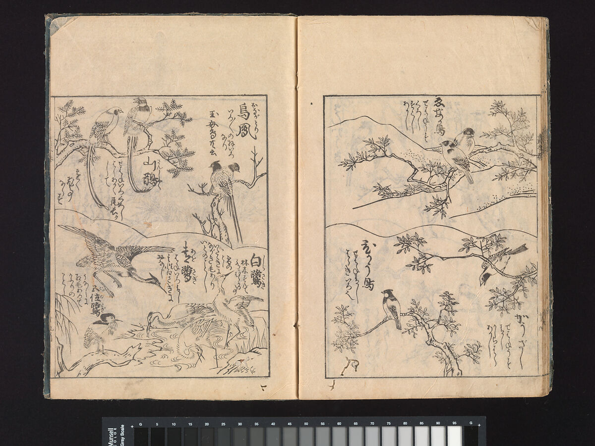 A Beginner’s Pictorial Encyclopedia of Natural History, Tachibana Morikuni (Japanese, 1679–1748), Three volumes of woodblock printed books (Japanese-style binding); ink on paper , Japan