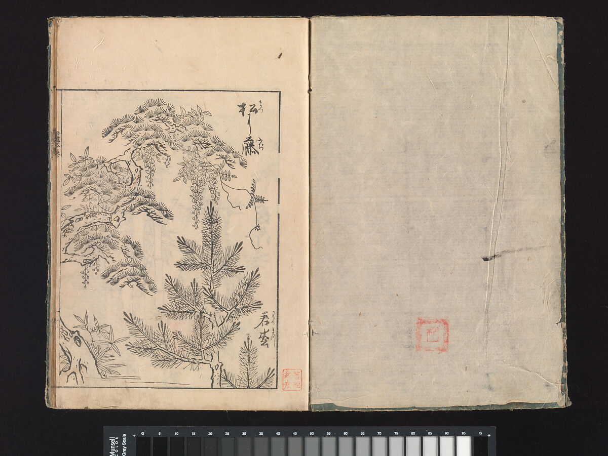 A Beginner’s Pictorial Encyclopedia of Natural History, Tachibana Morikuni (Japanese, 1679–1748), Three volumes of woodblock printed books (Japanese-style binding); ink on paper , Japan