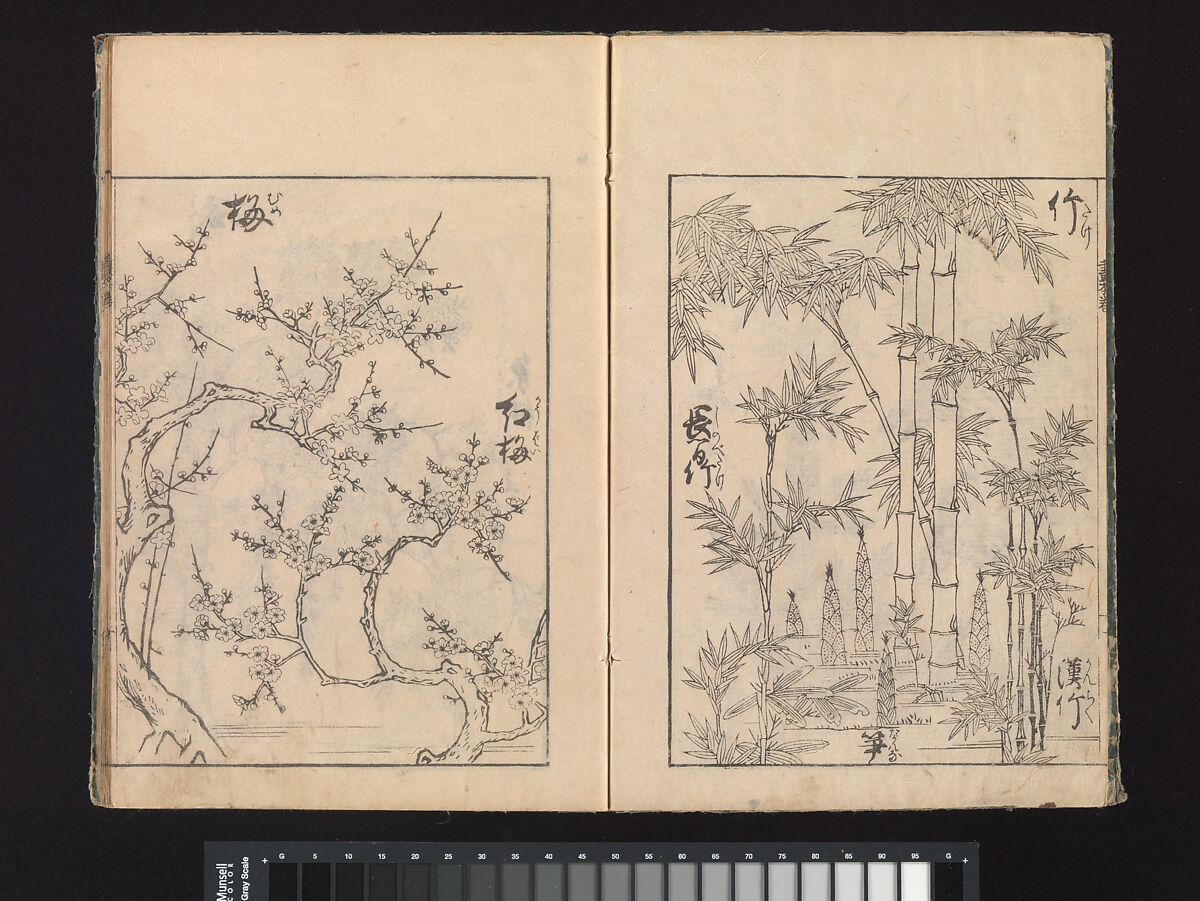 A Beginner’s Pictorial Encyclopedia of Natural History, Tachibana Morikuni (Japanese, 1679–1748), Three volumes of woodblock printed books (Japanese-style binding); ink on paper , Japan
