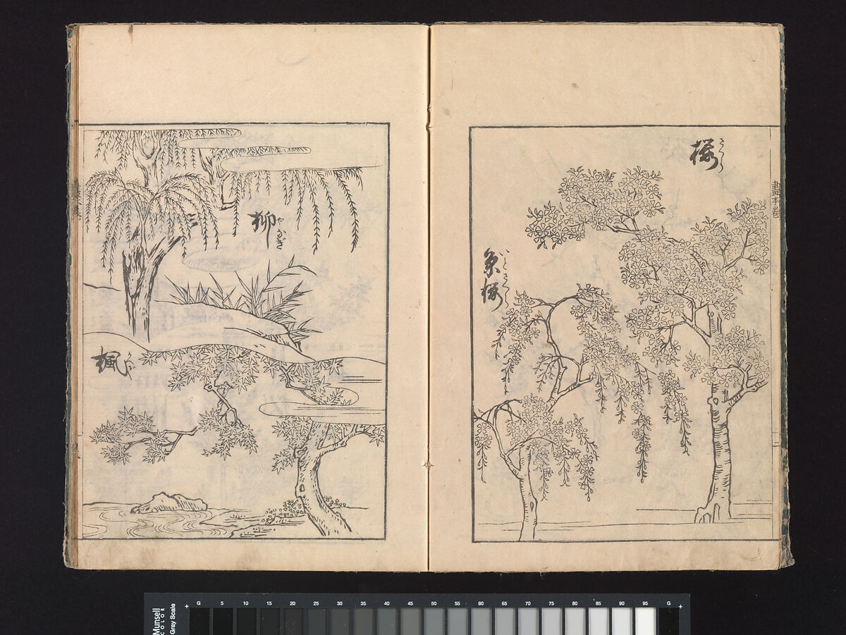 A Beginner’s Pictorial Encyclopedia of Natural History, Tachibana Morikuni (Japanese, 1679–1748), Three volumes of woodblock printed books (Japanese-style binding); ink on paper , Japan