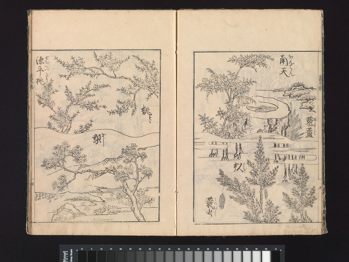 A Beginner’s Pictorial Encyclopedia of Natural History, Tachibana Morikuni (Japanese, 1679–1748), Three volumes of woodblock printed books (Japanese-style binding); ink on paper , Japan