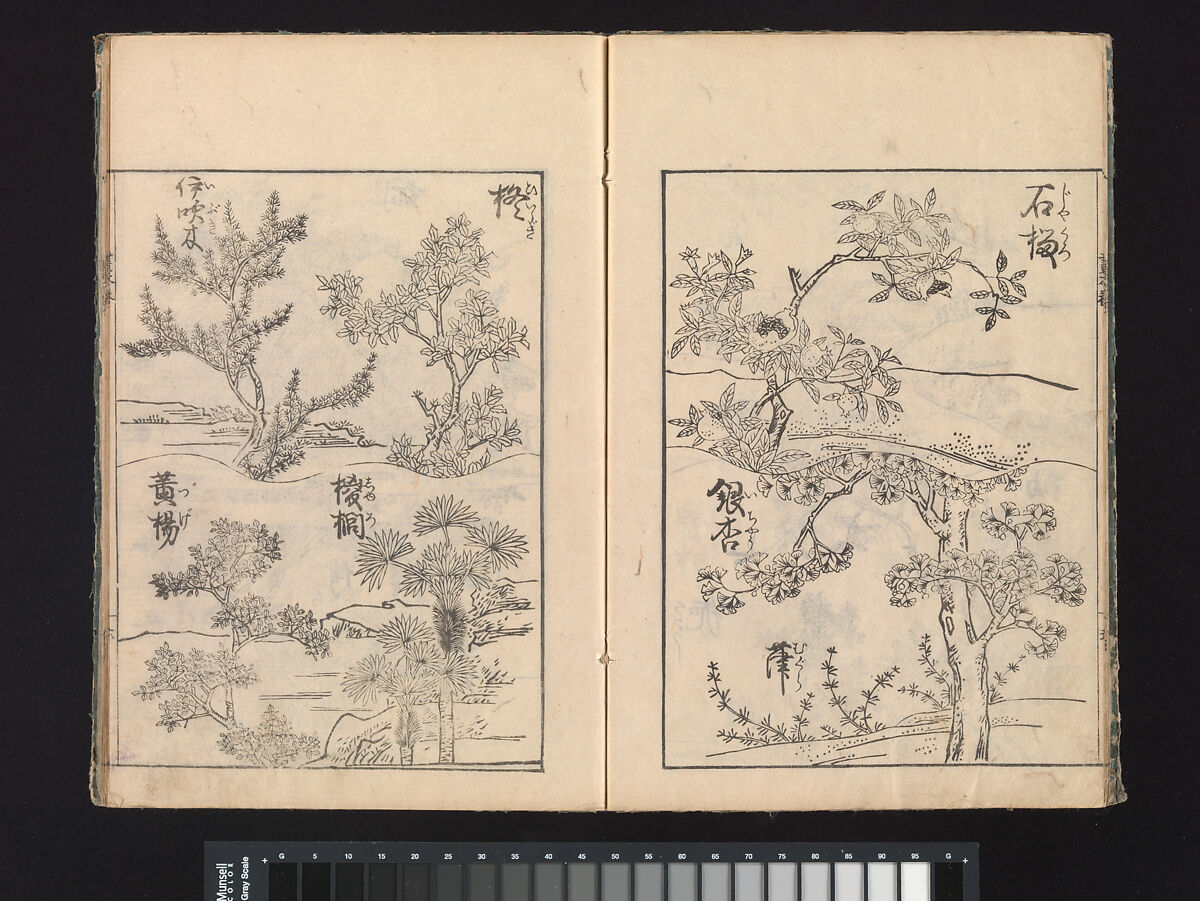A Beginner’s Pictorial Encyclopedia of Natural History, Tachibana Morikuni (Japanese, 1679–1748), Three volumes of woodblock printed books (Japanese-style binding); ink on paper , Japan