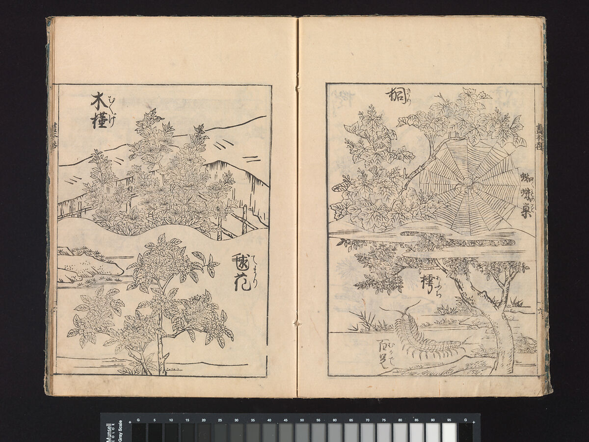 A Beginner’s Pictorial Encyclopedia of Natural History, Tachibana Morikuni (Japanese, 1679–1748), Three volumes of woodblock printed books (Japanese-style binding); ink on paper , Japan