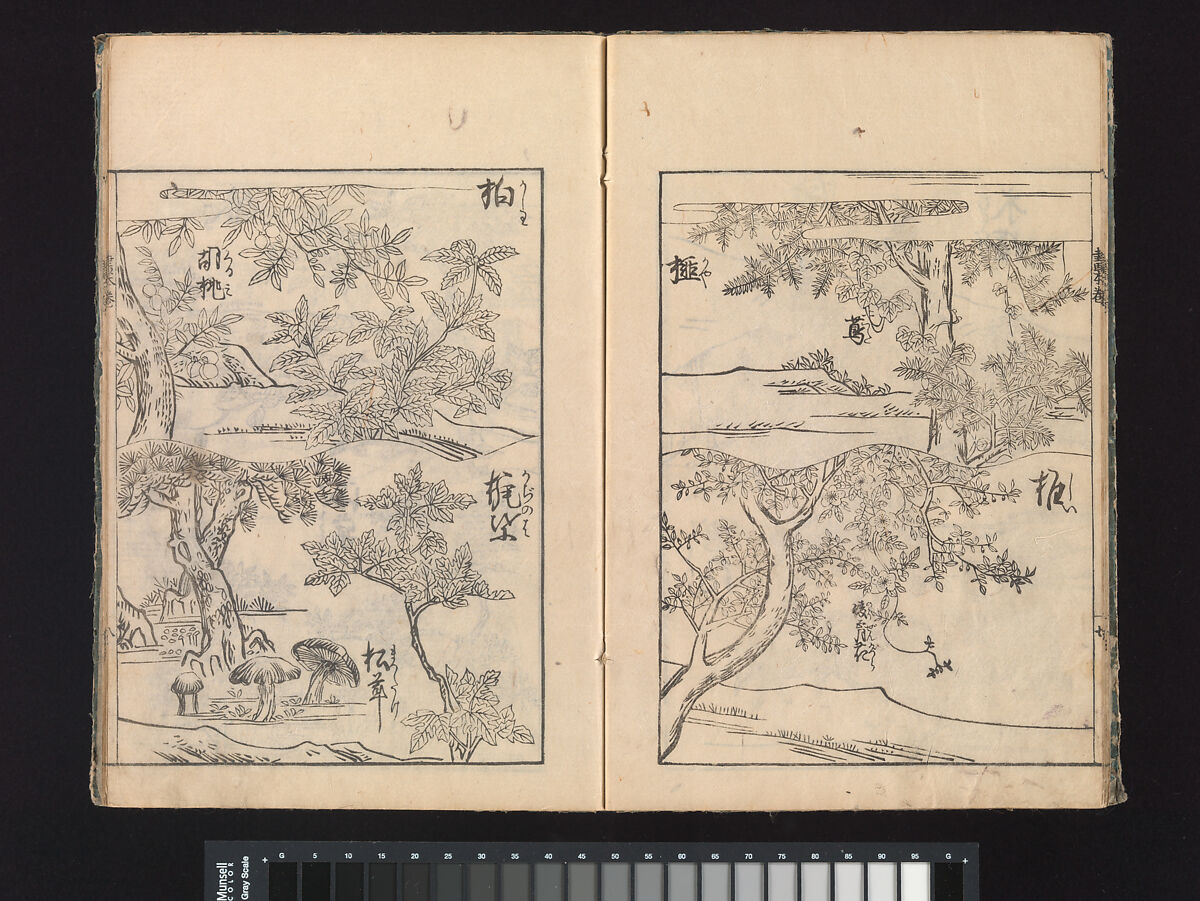 A Beginner’s Pictorial Encyclopedia of Natural History, Tachibana Morikuni (Japanese, 1679–1748), Three volumes of woodblock printed books (Japanese-style binding); ink on paper , Japan