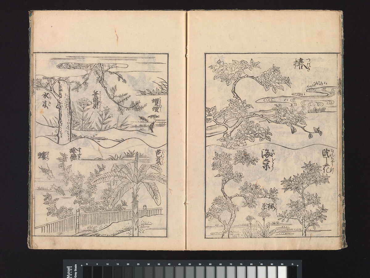 A Beginner’s Pictorial Encyclopedia of Natural History, Tachibana Morikuni (Japanese, 1679–1748), Three volumes of woodblock printed books (Japanese-style binding); ink on paper , Japan