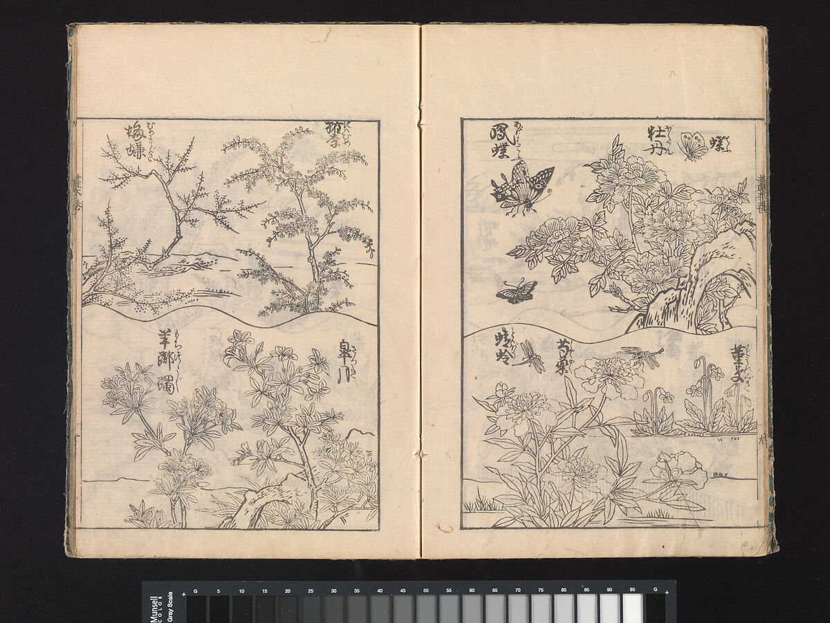 A Beginner’s Pictorial Encyclopedia of Natural History, Tachibana Morikuni (Japanese, 1679–1748), Three volumes of woodblock printed books (Japanese-style binding); ink on paper , Japan