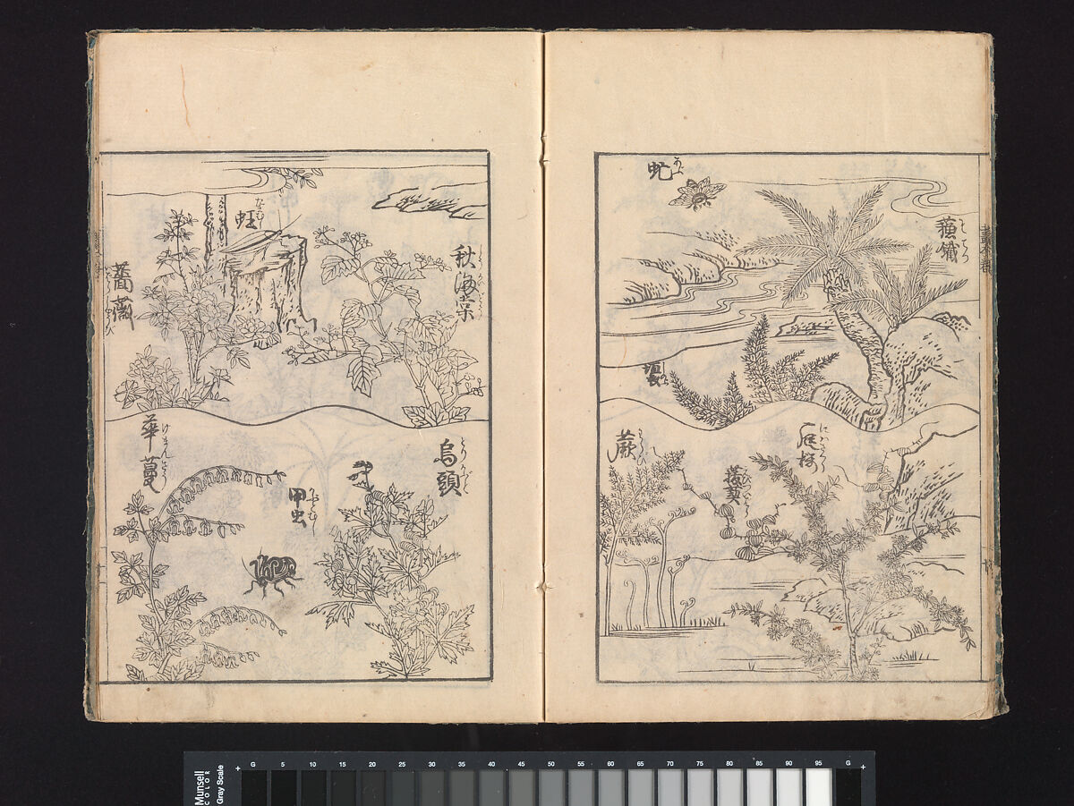 A Beginner’s Pictorial Encyclopedia of Natural History, Tachibana Morikuni (Japanese, 1679–1748), Three volumes of woodblock printed books (Japanese-style binding); ink on paper , Japan