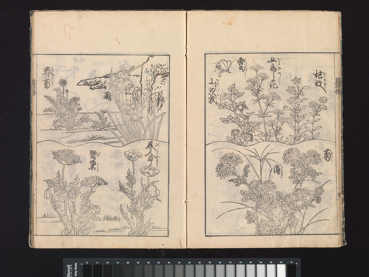 A Beginner’s Pictorial Encyclopedia of Natural History, Tachibana Morikuni (Japanese, 1679–1748), Three volumes of woodblock printed books (Japanese-style binding); ink on paper , Japan