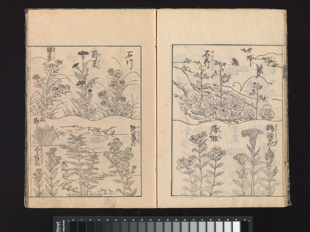 A Beginner’s Pictorial Encyclopedia of Natural History, Tachibana Morikuni (Japanese, 1679–1748), Three volumes of woodblock printed books (Japanese-style binding); ink on paper , Japan