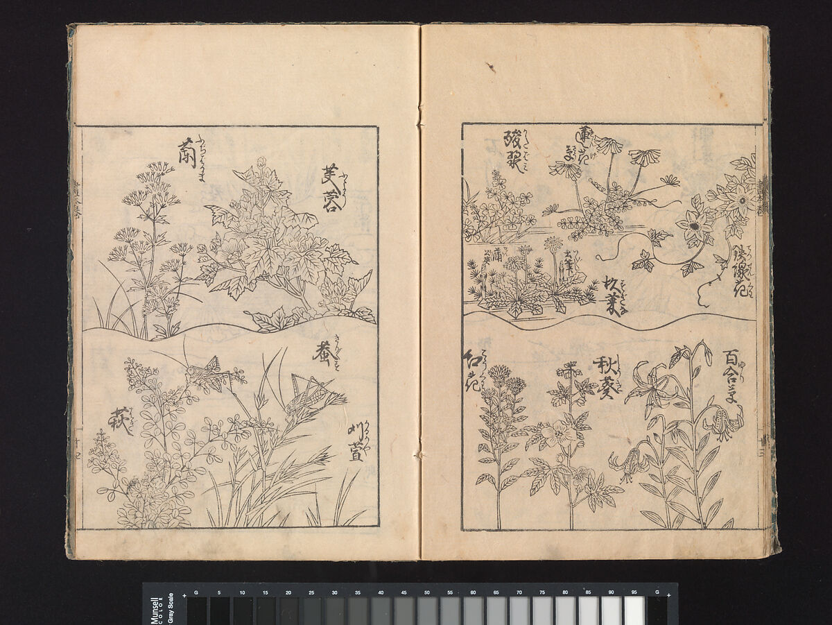 A Beginner’s Pictorial Encyclopedia of Natural History, Tachibana Morikuni (Japanese, 1679–1748), Three volumes of woodblock printed books (Japanese-style binding); ink on paper , Japan