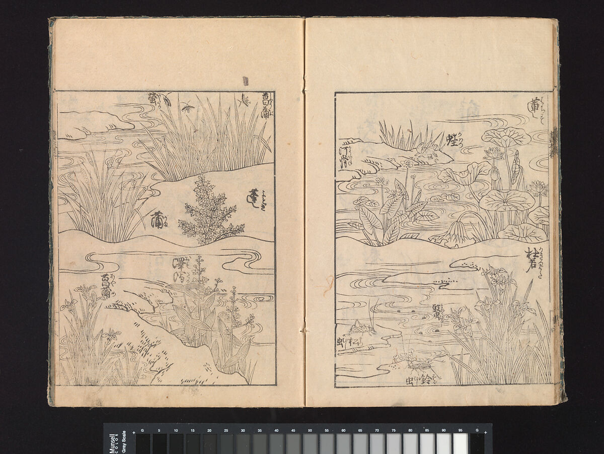 A Beginner’s Pictorial Encyclopedia of Natural History, Tachibana Morikuni (Japanese, 1679–1748), Three volumes of woodblock printed books (Japanese-style binding); ink on paper , Japan