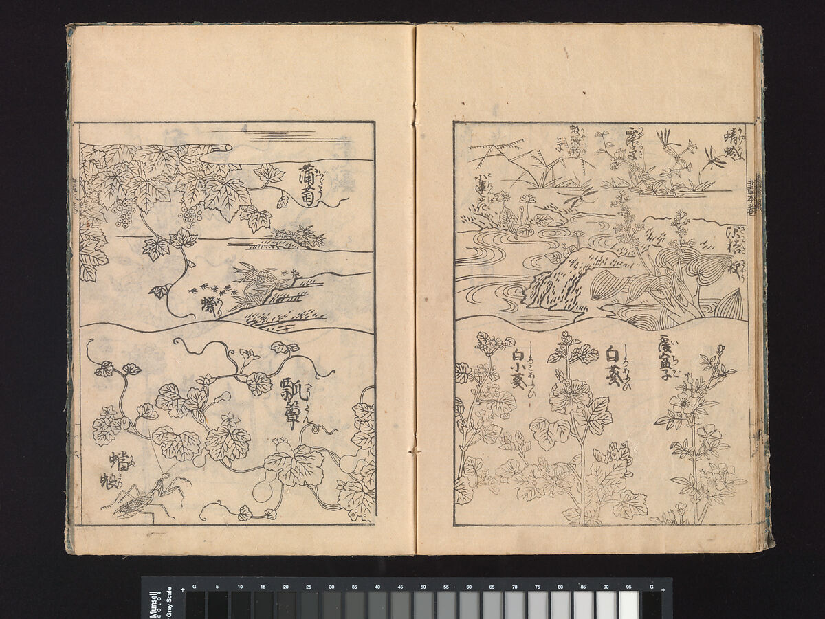 A Beginner’s Pictorial Encyclopedia of Natural History, Tachibana Morikuni (Japanese, 1679–1748), Three volumes of woodblock printed books (Japanese-style binding); ink on paper , Japan