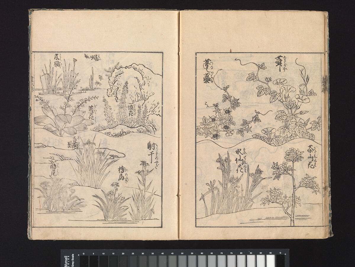 A Beginner’s Pictorial Encyclopedia of Natural History, Tachibana Morikuni (Japanese, 1679–1748), Three volumes of woodblock printed books (Japanese-style binding); ink on paper , Japan