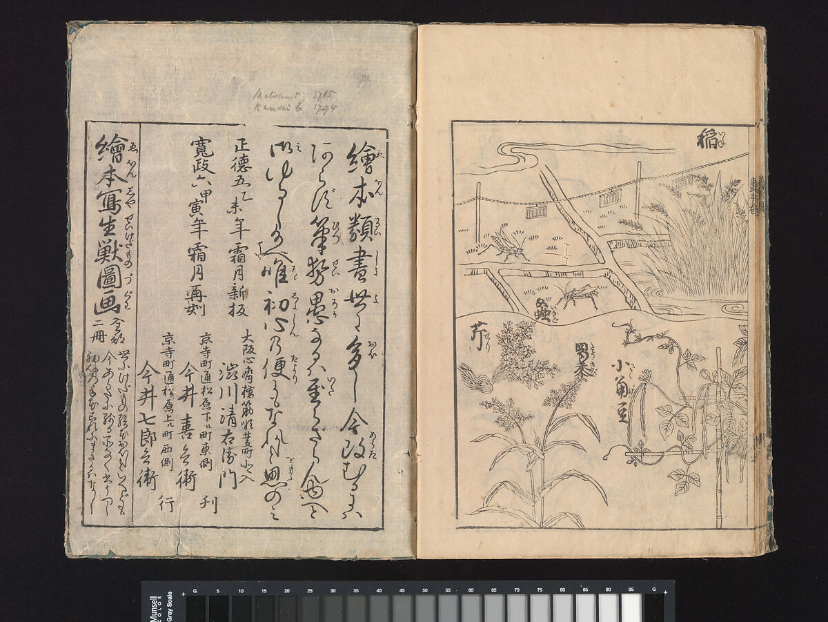 A Beginner’s Pictorial Encyclopedia of Natural History, Tachibana Morikuni (Japanese, 1679–1748), Three volumes of woodblock printed books (Japanese-style binding); ink on paper , Japan
