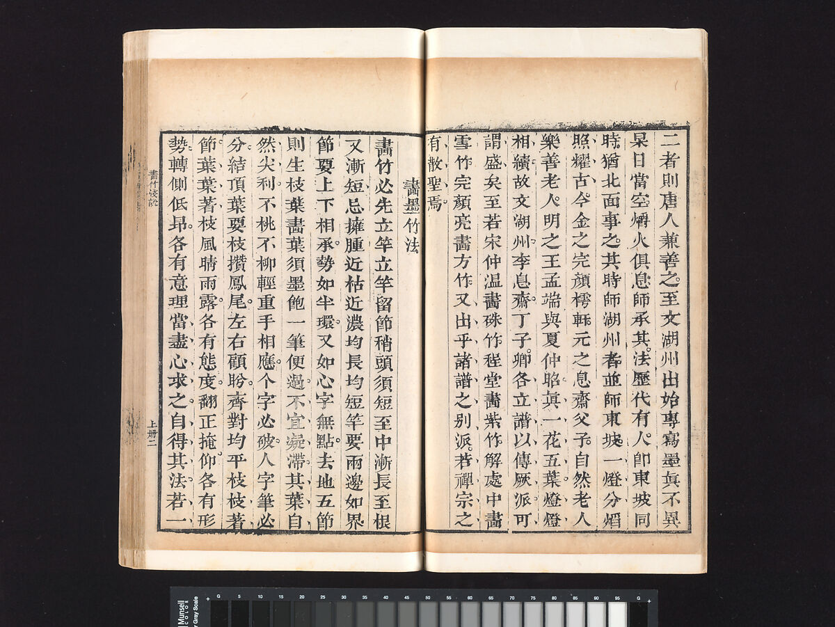 “Bamboo” section, from the Mustard Seed Garden Manual of Painting, Wang Gai (Chinese, 1645–1710), Woodblock-printed book; ink and color on paper, China
