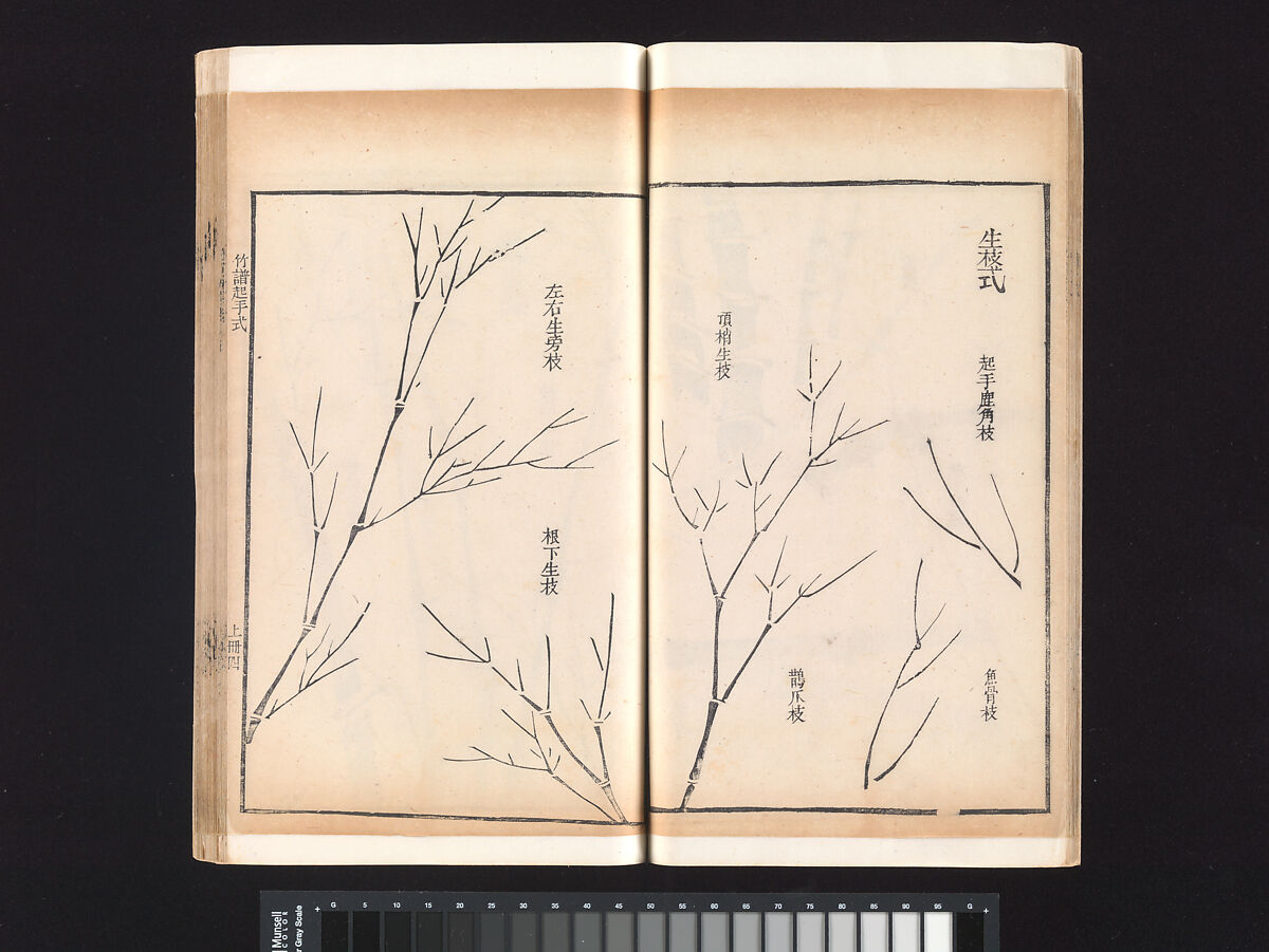 “Bamboo” section, from the Mustard Seed Garden Manual of Painting, Wang Gai (Chinese, 1645–1710), Woodblock-printed book; ink and color on paper, China