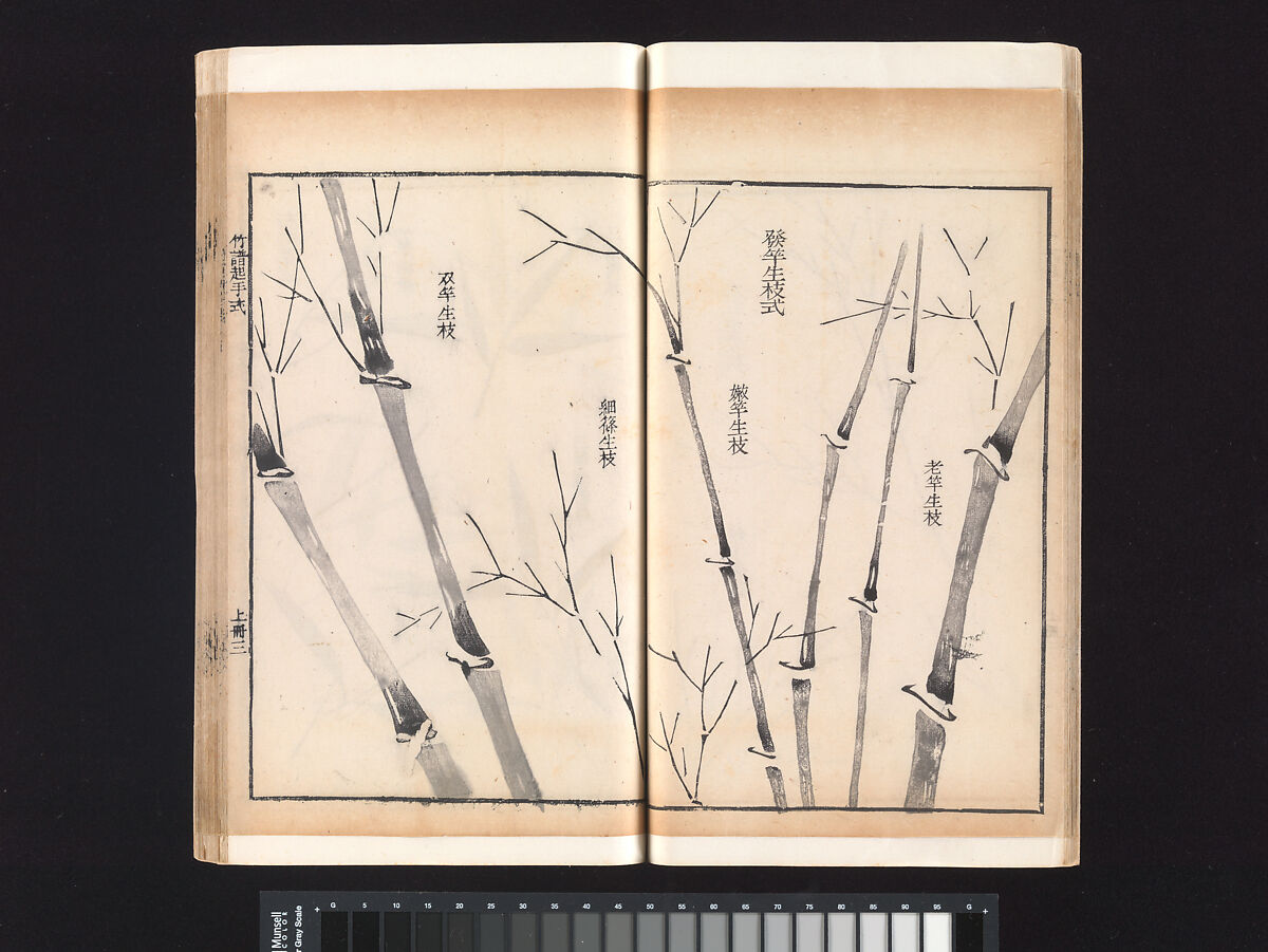 “Bamboo” section, from the Mustard Seed Garden Manual of Painting, Wang Gai (Chinese, 1645–1710), Woodblock-printed book; ink and color on paper, China