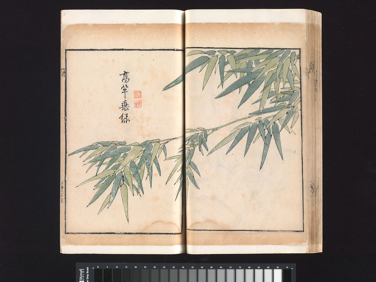 “Bamboo” section, from the Mustard Seed Garden Manual of Painting, Wang Gai (Chinese, 1645–1710), Woodblock-printed book; ink and color on paper, China