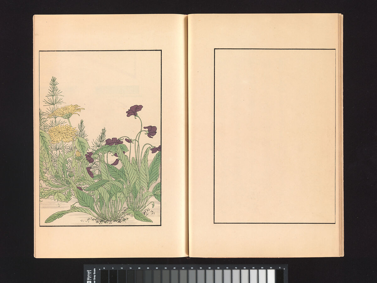 A Mirror of Yoshiwara Beauties, Katsukawa Shunshō 勝川春章 (Japanese, 1726–1792), Woodblock printed book (Japanese-style binding), ink and color on paper, Japan