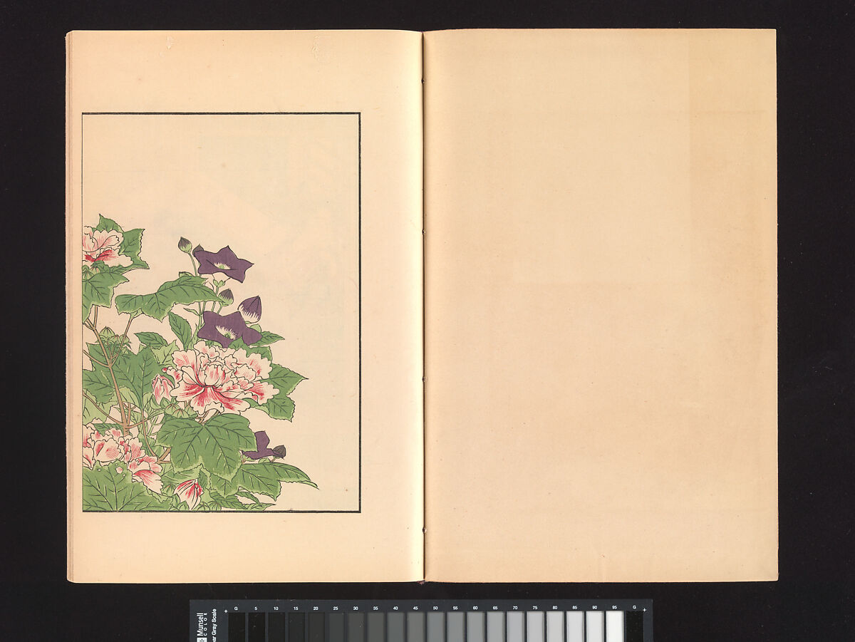 A Mirror of Yoshiwara Beauties, Katsukawa Shunshō 勝川春章 (Japanese, 1726–1792), Woodblock printed book (Japanese-style binding), ink and color on paper, Japan