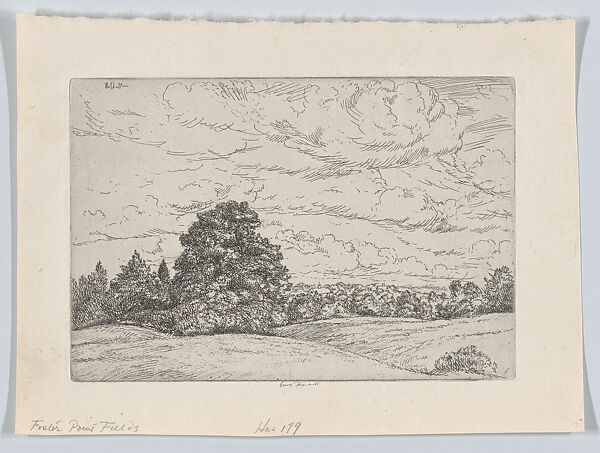 Foster Point Fields, Ernest Haskell (American, Woodstock, Connecticut 1876–1925 West Point, Maine), Etching 