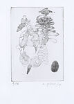 Le Maréchal, Alan Glass (Canadian, active Mexico,1932–2023 Mexico City), 3 portfolios of drypoint prints in boxes covered with black linen and with images inset on front and back of each box. Each box contains 11 drypoint prints and one sheet of letterpress text with a poem. Works in boxes 1 and 2 printed on BFK Rives 100% cotton, 250 grs and  box 3 printed on Hahnemühle 100% cotton, 300 grs.