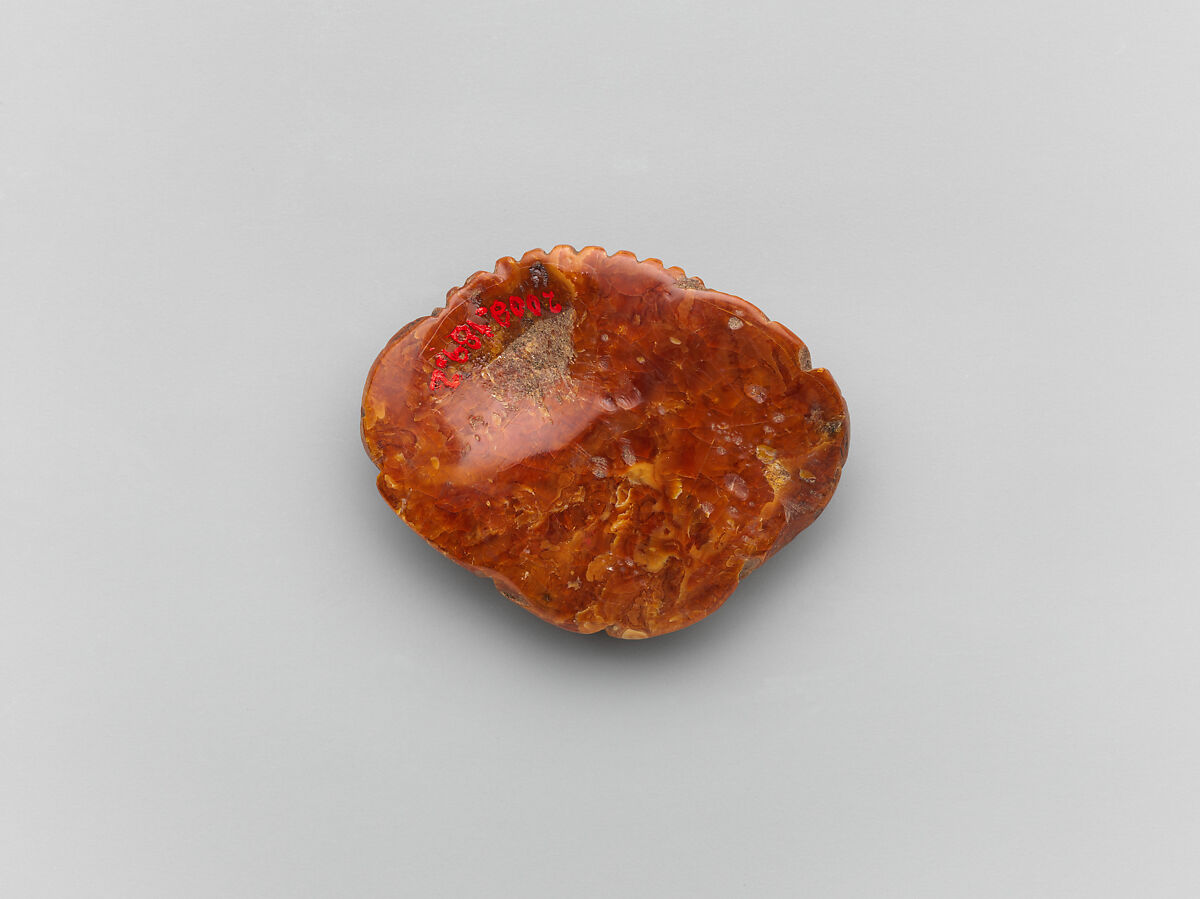 Flower in full blossom, Amber, China