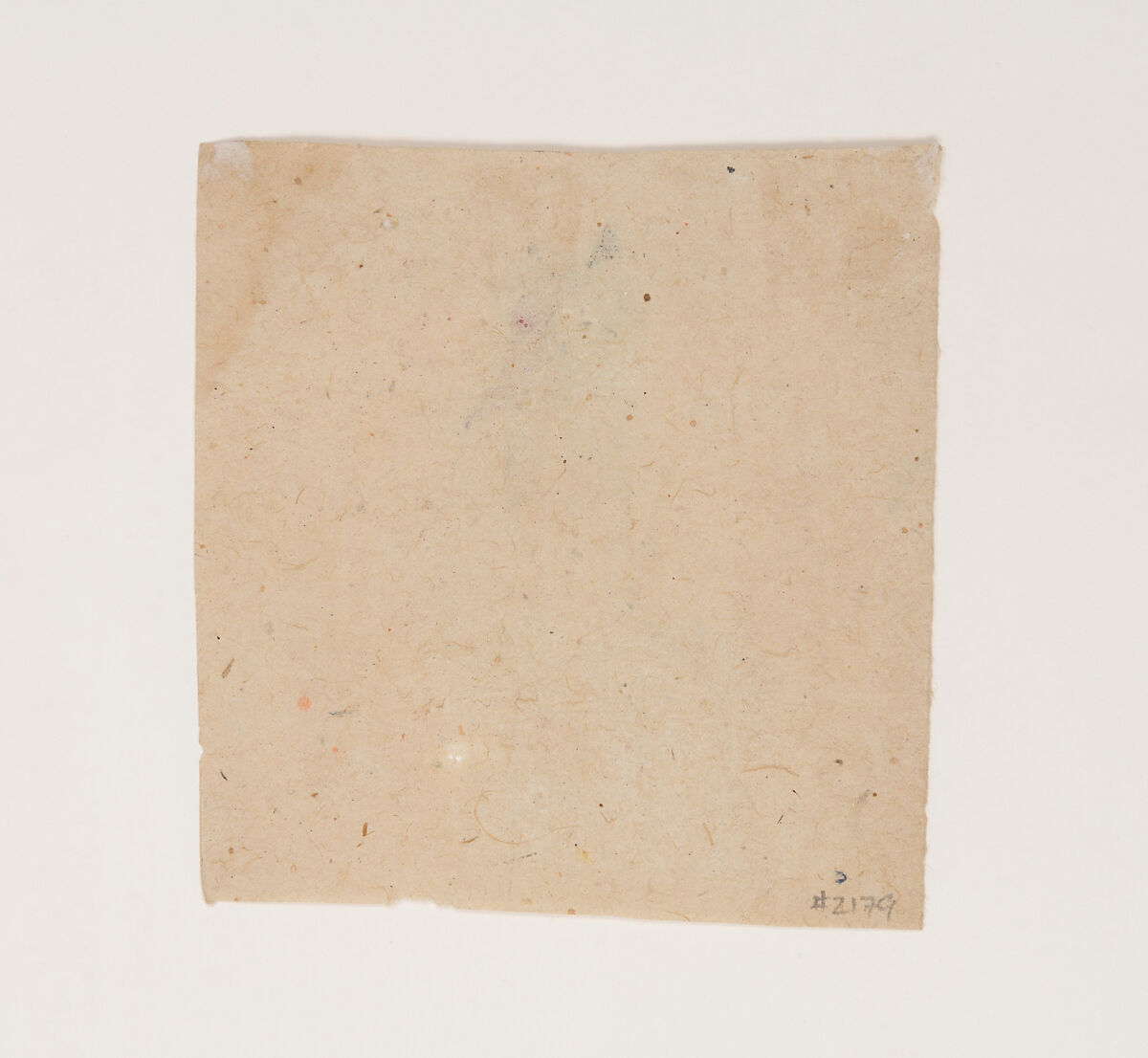 Portrait of a Sikh Noble, Ink, wash, and translucent watercolor on paper, India (Punjab Plains)