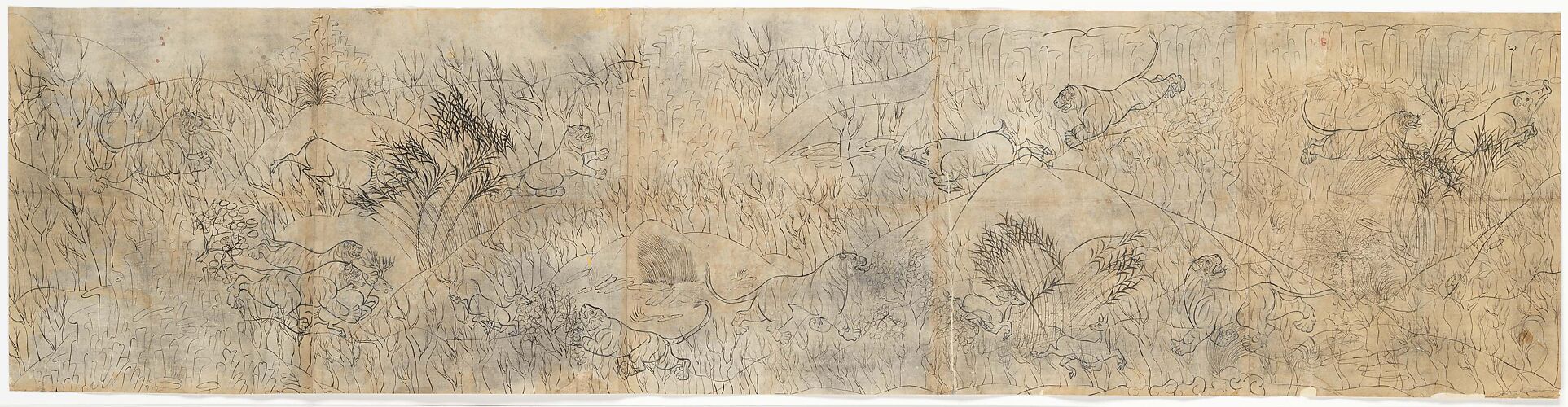 Tigers Hunting Boars and Deer