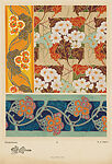 Cinéraires (Cinerarias), pl. 27