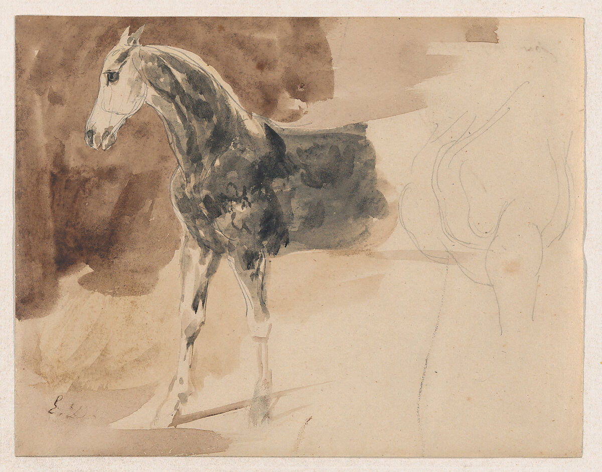 Study of a Horse, Eugène Delacroix (French, Charenton-Saint-Maurice 1798–1863 Paris), Brush and brown and black wash over graphite 
