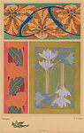 Tulipes (Tulips), pl. 8