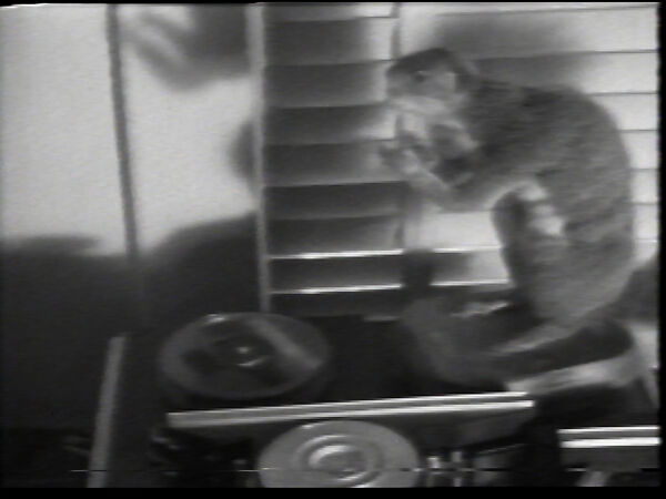 Squirrel Around, William Wegman (American, born 1943), Single-channel digital video, transferred from Sony CV 1/2-inch video tape, black-and-white, sound, 28 sec. 