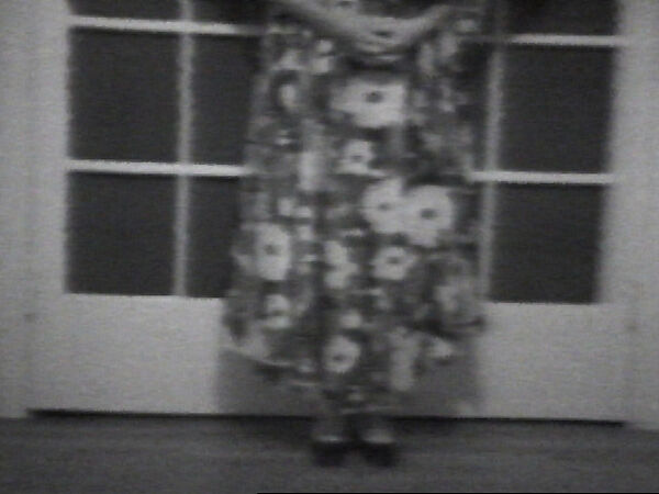 Dress Curtain, William Wegman (American, born 1943), Single-channel digital video, transferred from Sony CV 1/2-inch video tape, black-and-white, sound, 19 sec. 