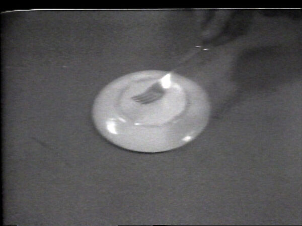 Hidden Utensil, William Wegman (American, born 1943), Single-channel digital video, transferred from Sony CV 1/2-inch video tape, black-and-white, sound, 31 sec. 