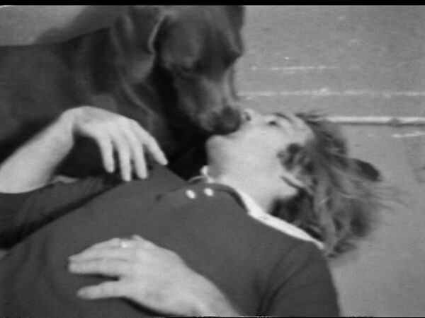 The Kiss, William Wegman (American, born 1943), Single-channel digital video, transferred from Sony AV 3600 1/2-inch video tape, black-and-white, sound, 1 min., 27 sec. 